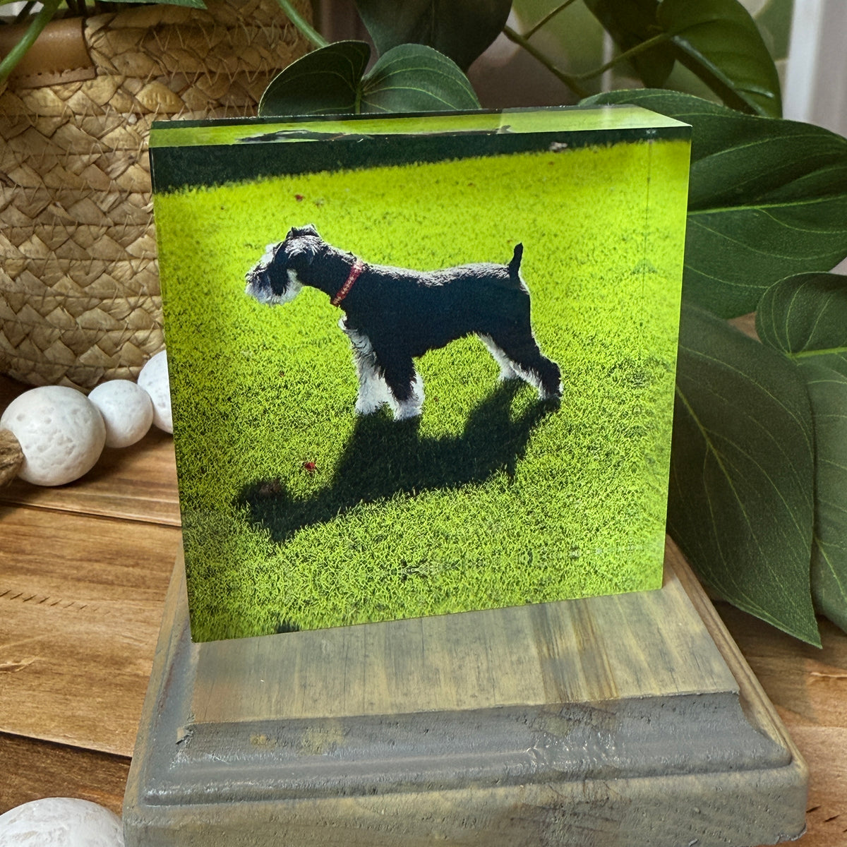 Custom Photo Block – UV Printed Acrylic Keepsake, Upload Your Photo, 3x3, 4x4, 4x6