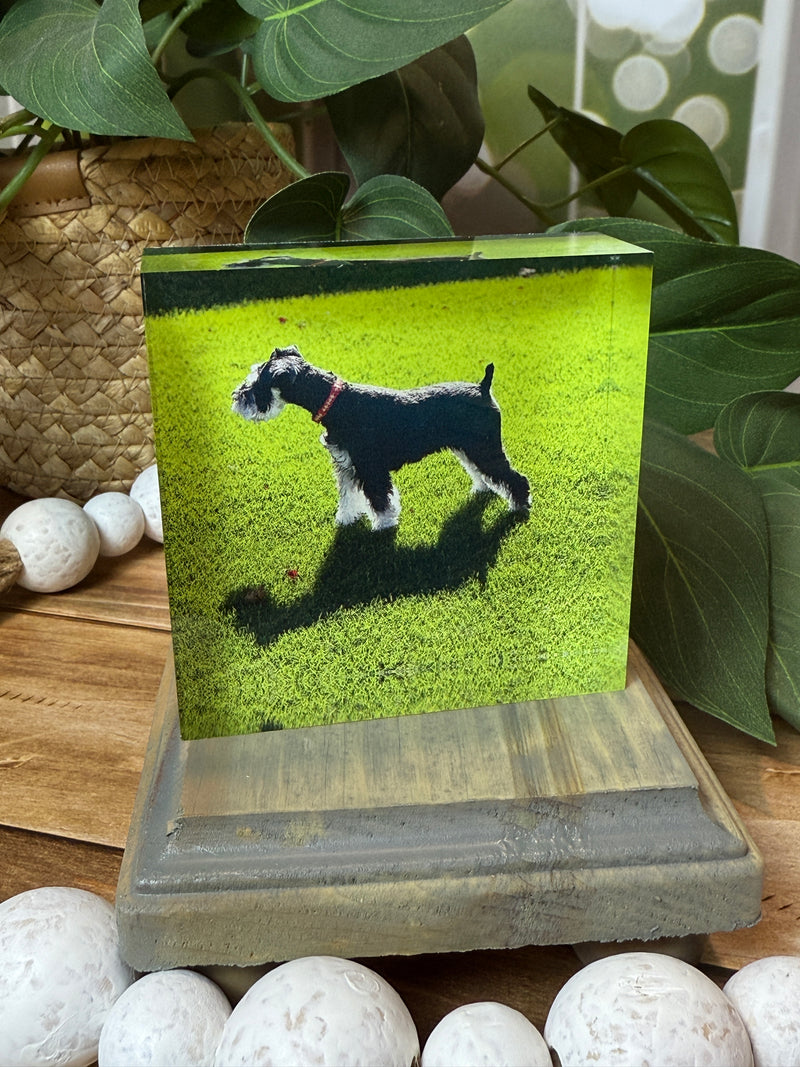 Custom Photo Block – UV Printed Acrylic Keepsake, Upload Your Photo, 3x3, 4x4, 4x6